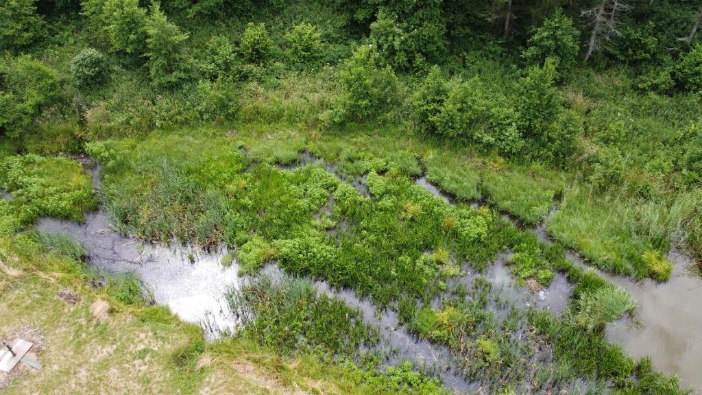 Warmia Odludzie photo 2