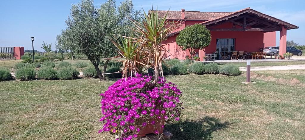 Il Casale di Giulia di Aprilia photo 2