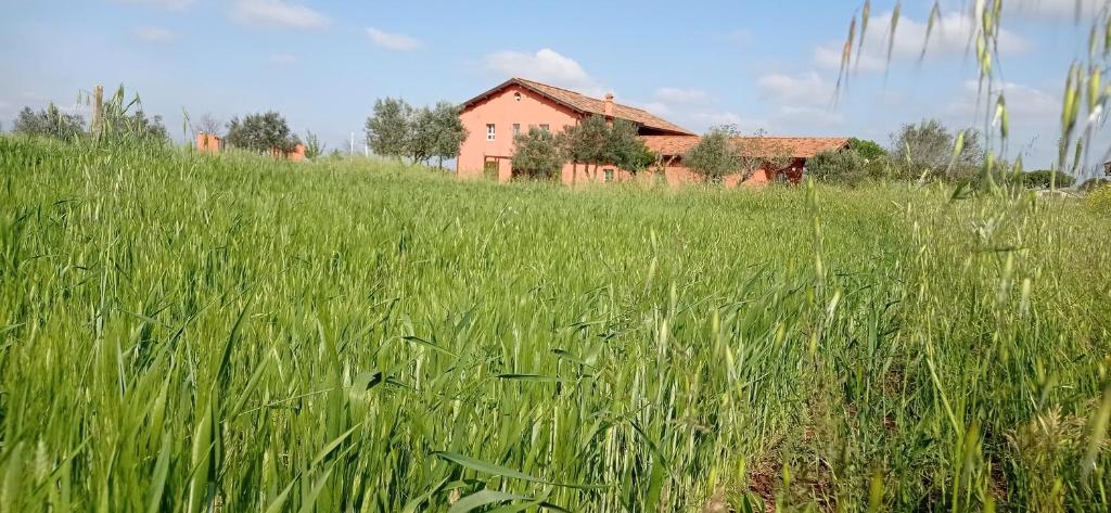 Il Casale di Giulia di Aprilia photo 1