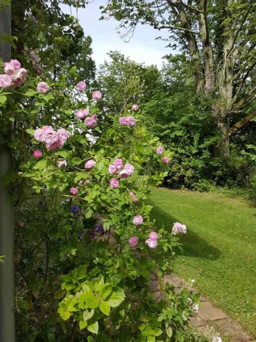 Gite classé quatre étoiles dans les dépendances du chateau de Manau photo 3