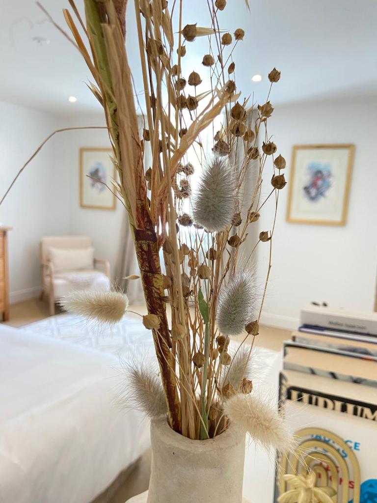 Villa Prat Bras - T1 Cocooning photo 3