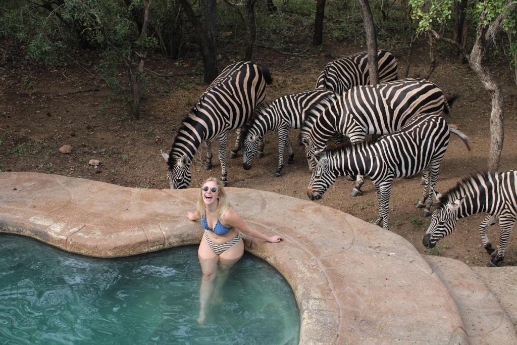 Kruger Park Hostel photo 2