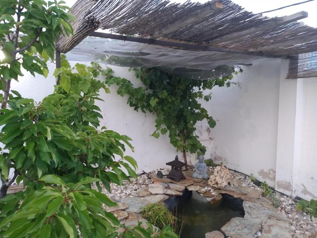 Casita Colibrí photo 2