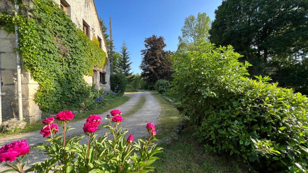 Gîte du moulin de Vandon photo 2