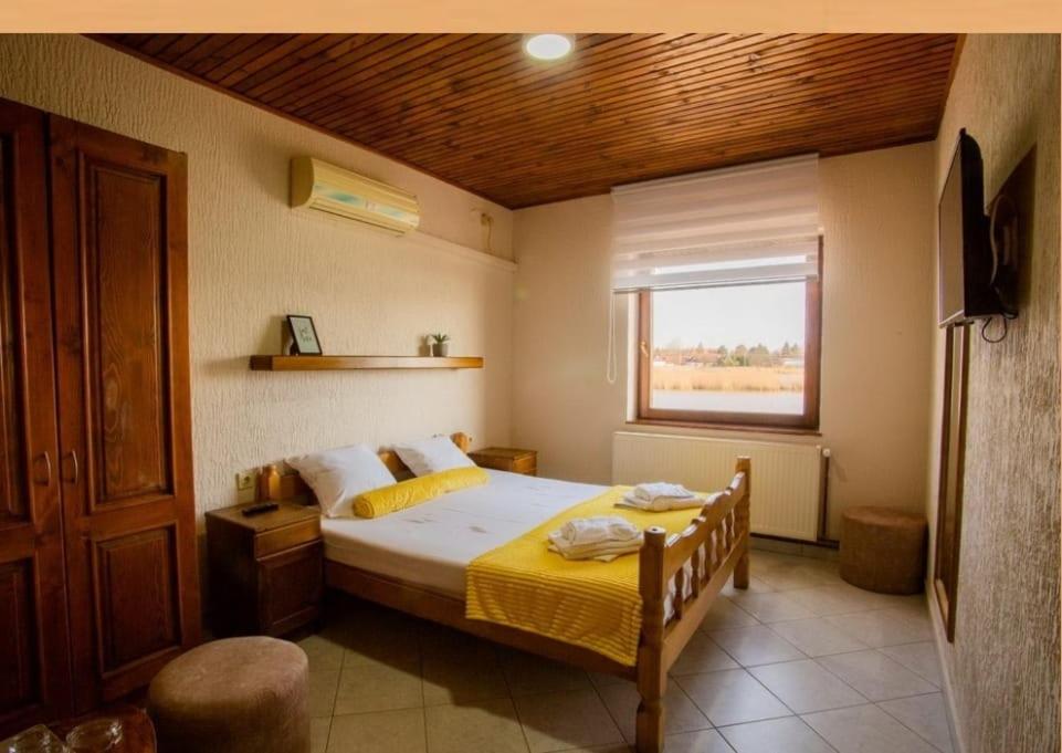 Guest House Vila Alexandar photo 2
