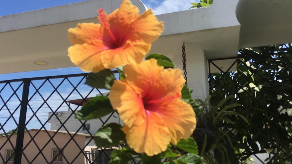 Flor de Lis Beach House, villa vacacional photo 3