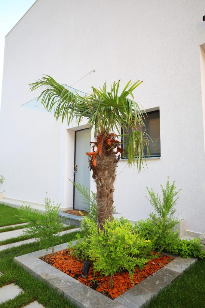 Villa White Pearl photo 4
