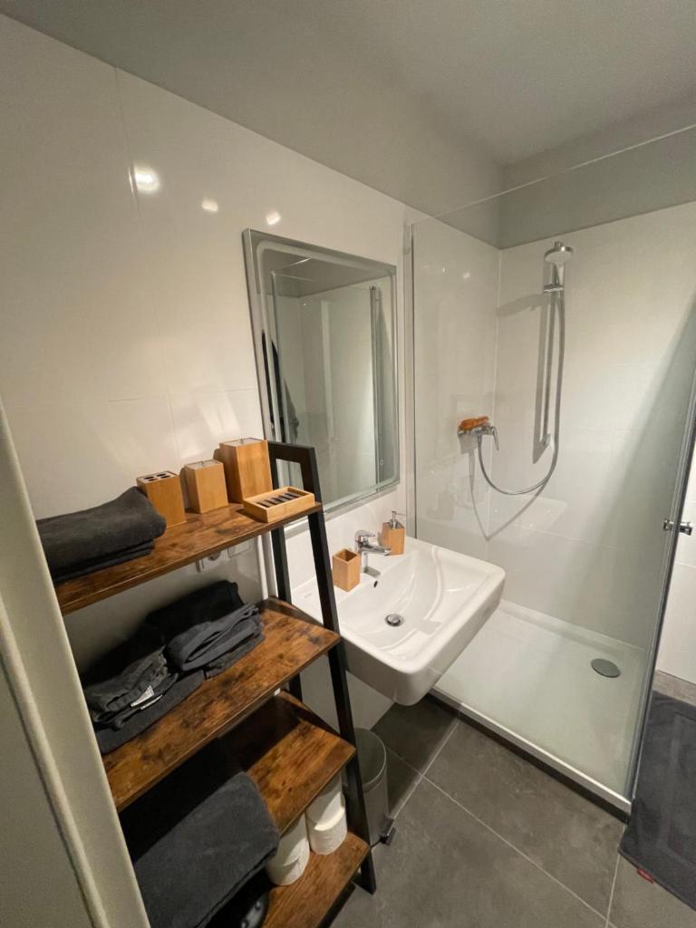 Hanau Apartment photo 3