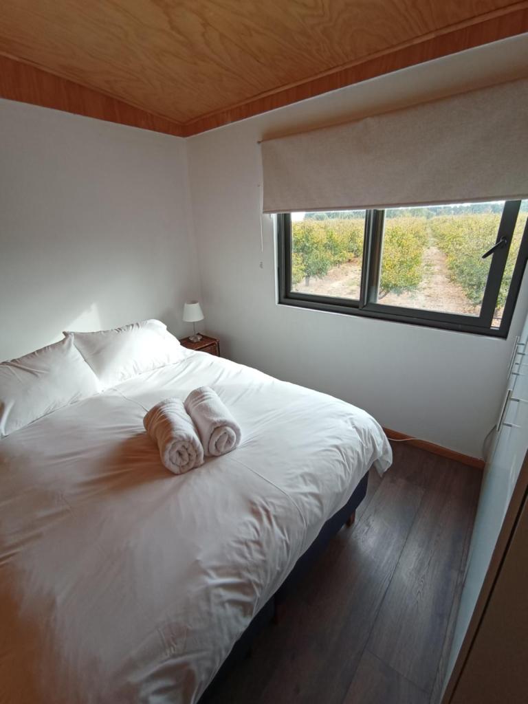 CASA PEQUEN photo 3
