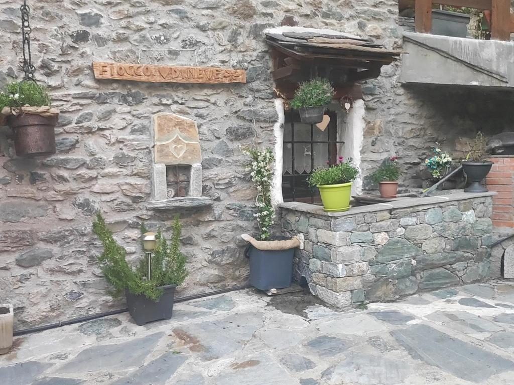Fiocco di Neve photo 2