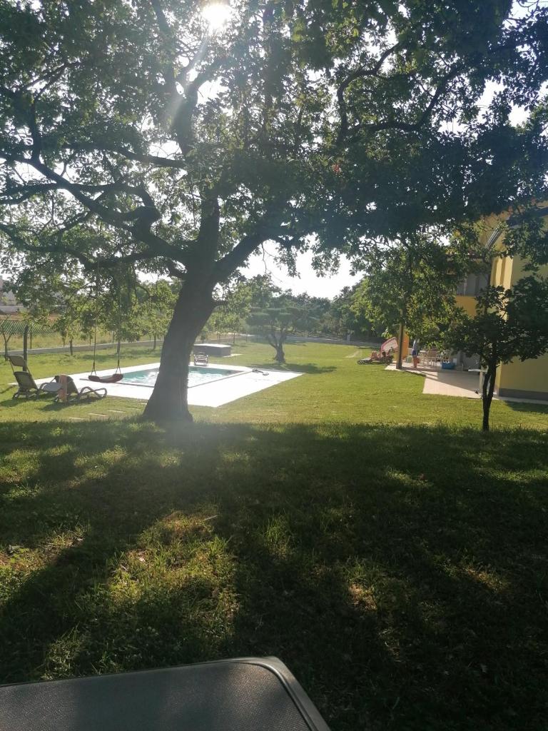 Villanova Apartments photo 1