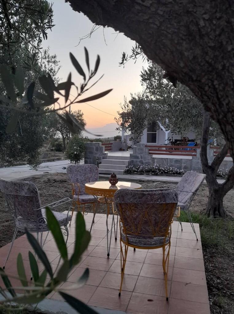 Sea and Garden House