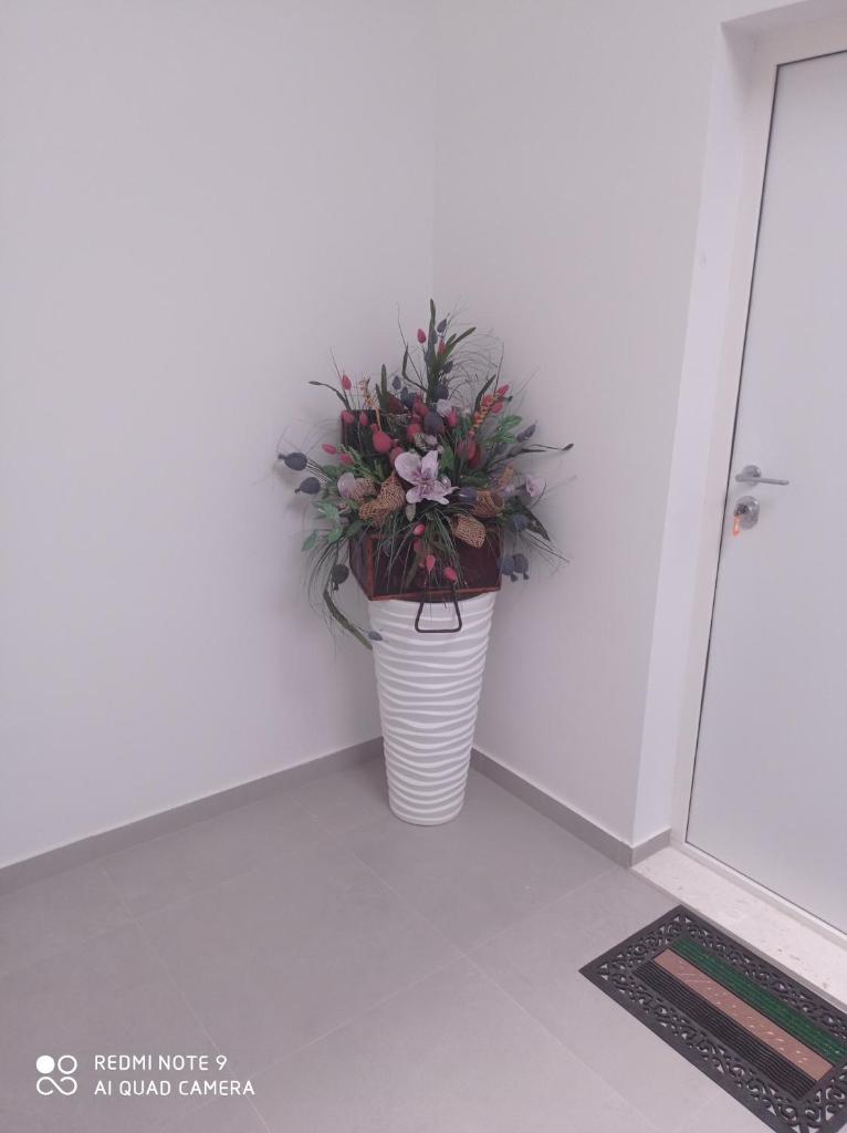 Apartman 2 sobe photo 4