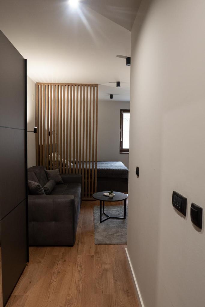 Apartman Aleni - Bela Reka, Brzeće photo 4