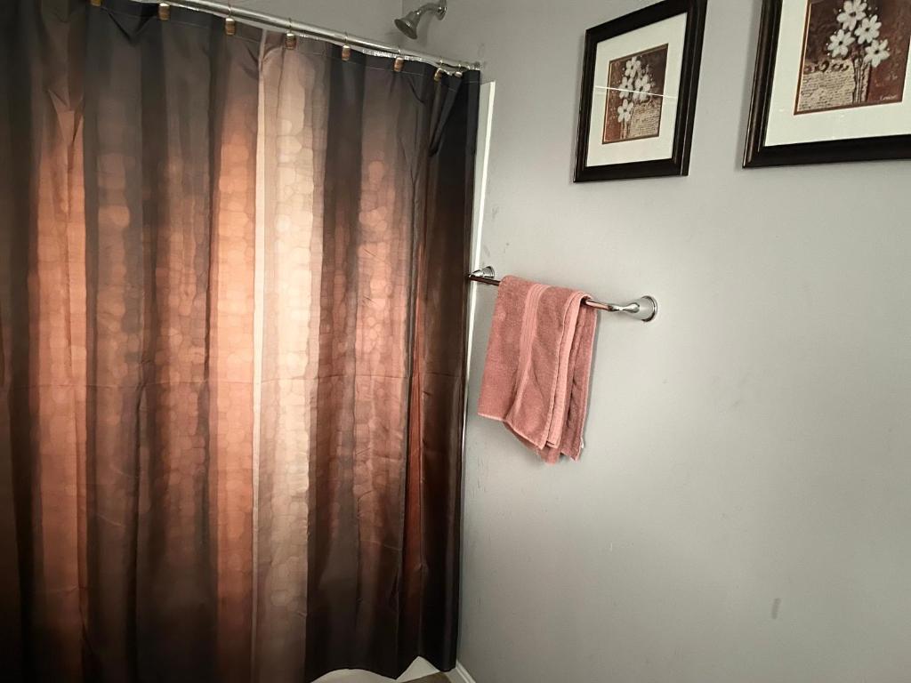 Miami Gallery #71 Gorgeous Full Size Bedroom with SHARED Bathroom photo 4