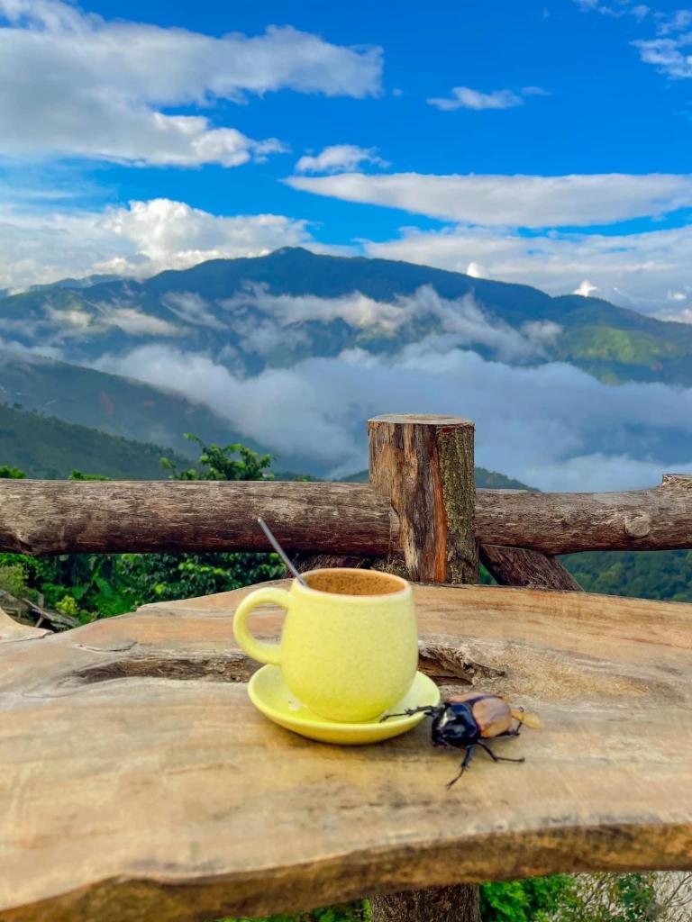 Lù Homestay Tà Xùa