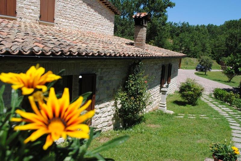 Il Bosso photo 1
