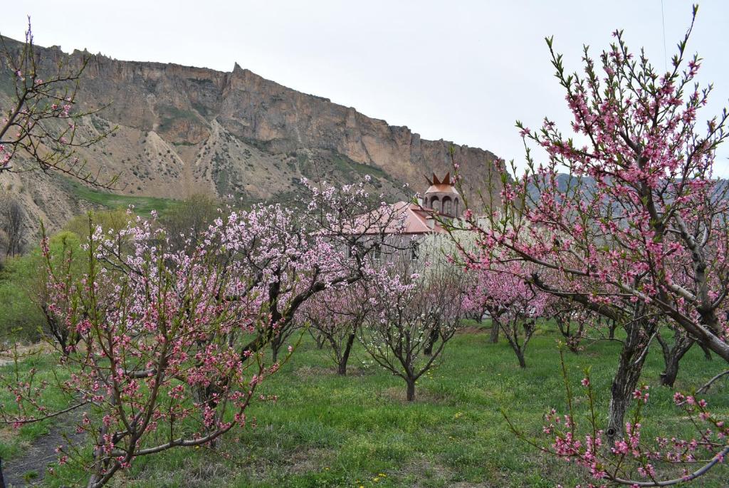 Areni Lodge photo 2