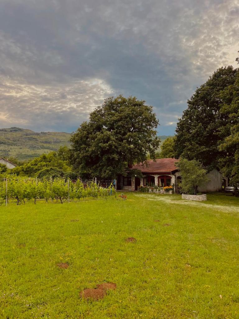 Village house Velimirović photo 1