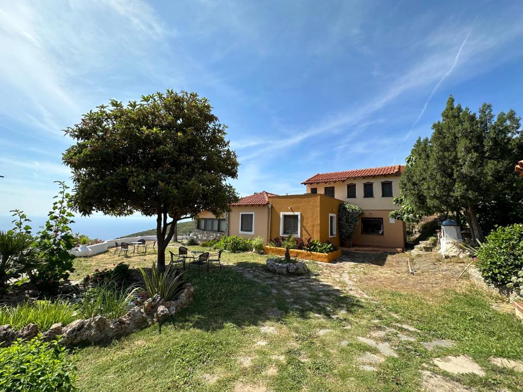 Varias Art House