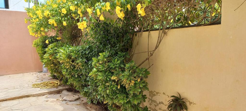 "Ô soleil" une Villa moderne dans un quartier paisible du centre de Saly photo 1