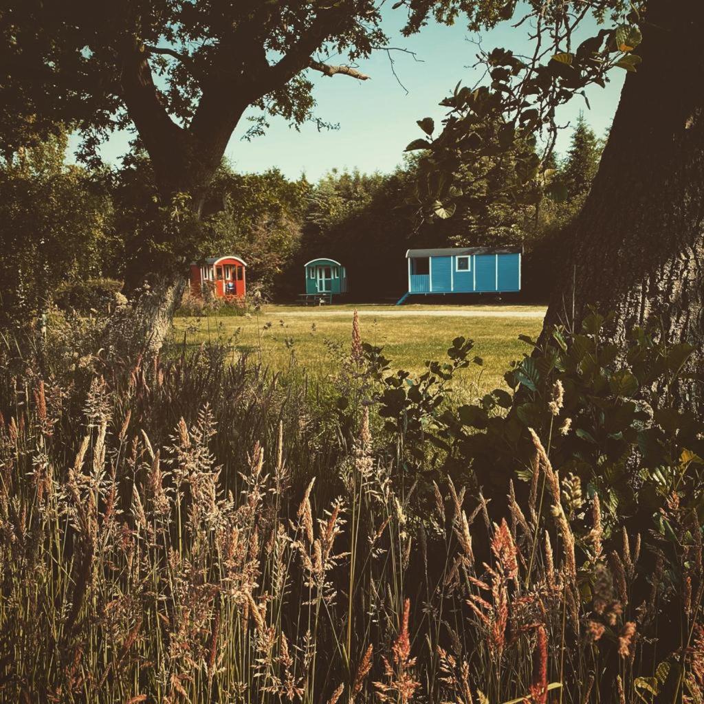 Pipowagens bij Camping & Pannenkoekenrestaurant De Koppenjan Jubbega