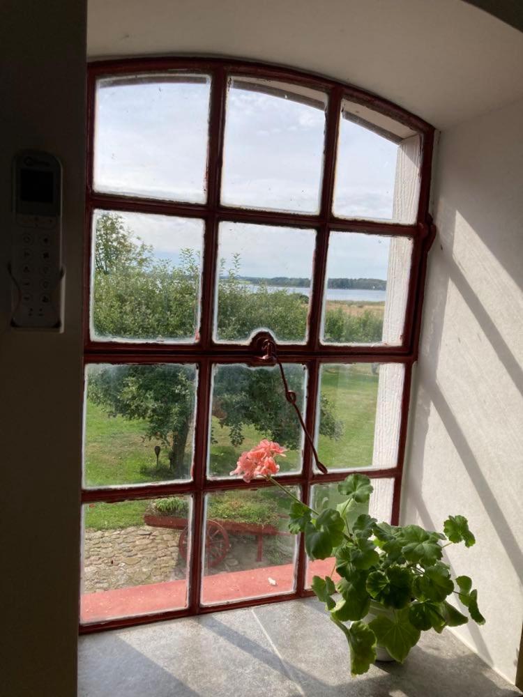 Jungshoved Præstegård B&B photo 1