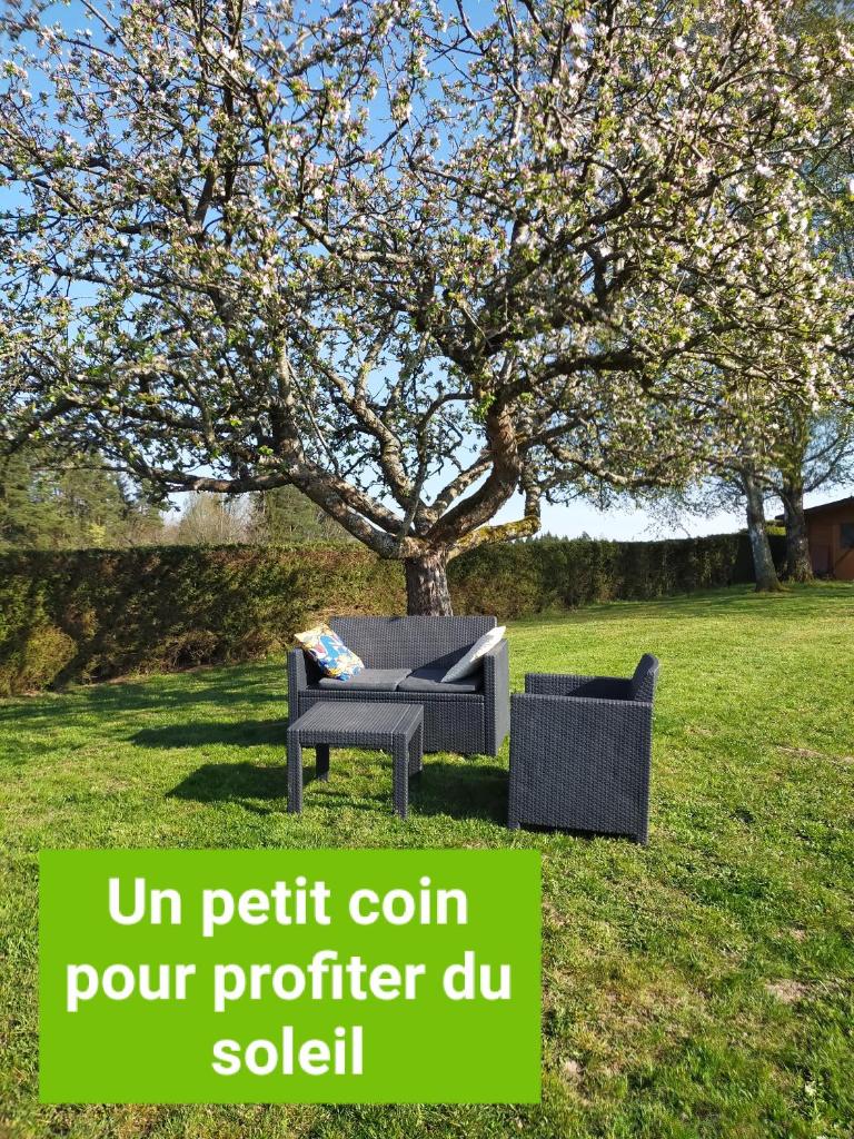 La Marmotte du Vivier photo 3