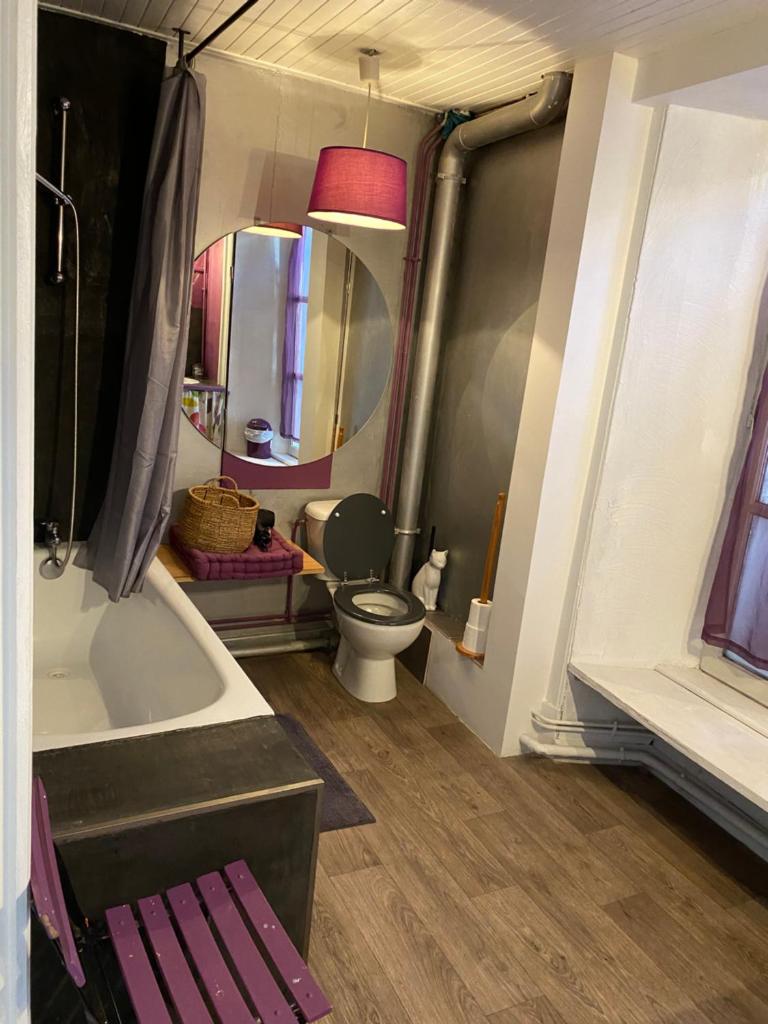 Charmant appartement au cœur des volcans d Auvergne photo 4