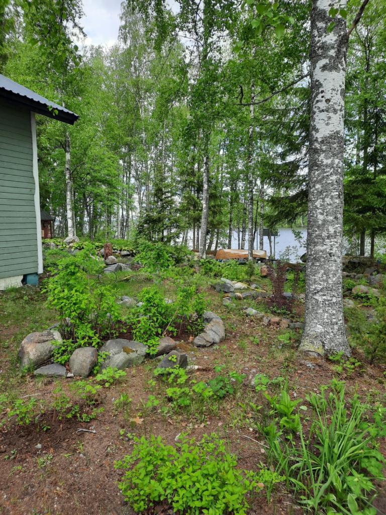 Luonnon rauhaa Kalliosaaressa, private island photo 2