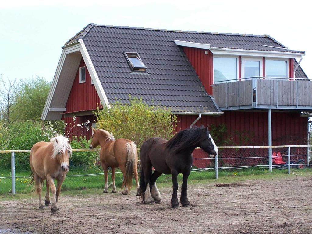 Urlaub auf dem Bauernhof