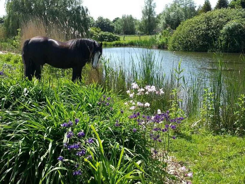 Urlaub auf dem Bauernhof photo 4