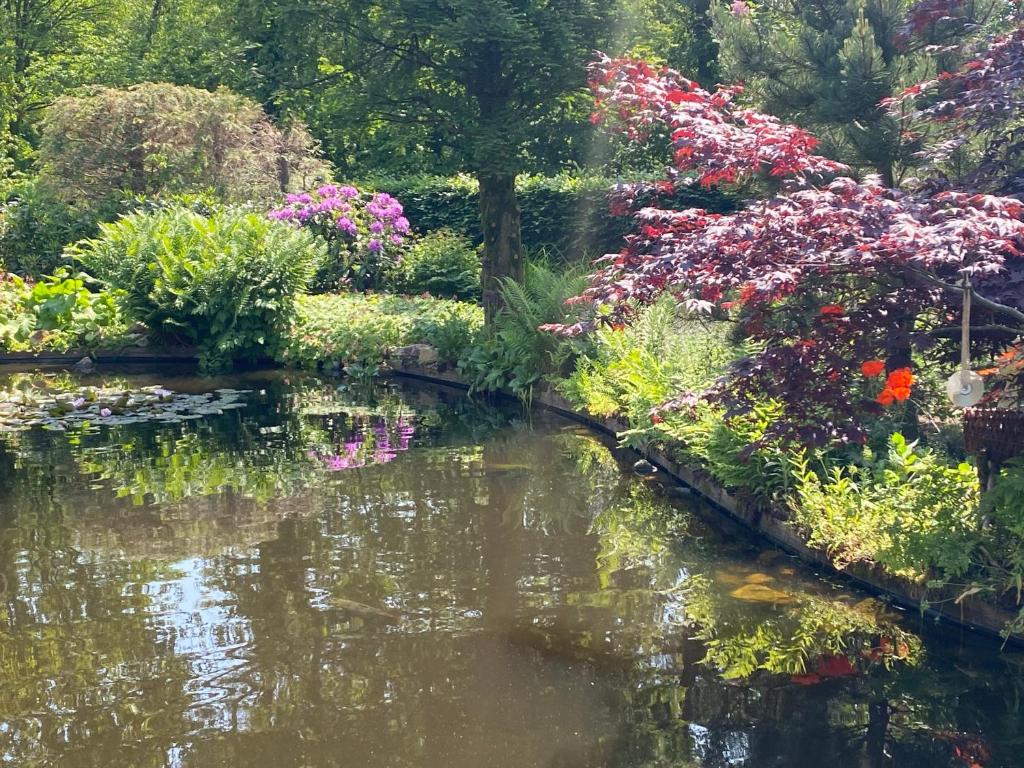 B&B. Het Hunebed Rolde photo 1
