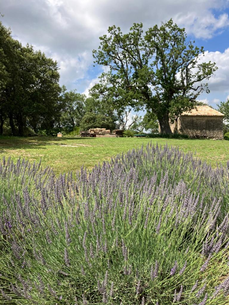 La bastide des Roman photo 1