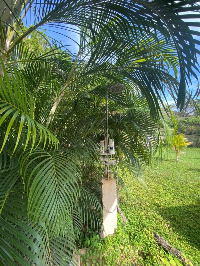 Villa Pura Vida photo 3