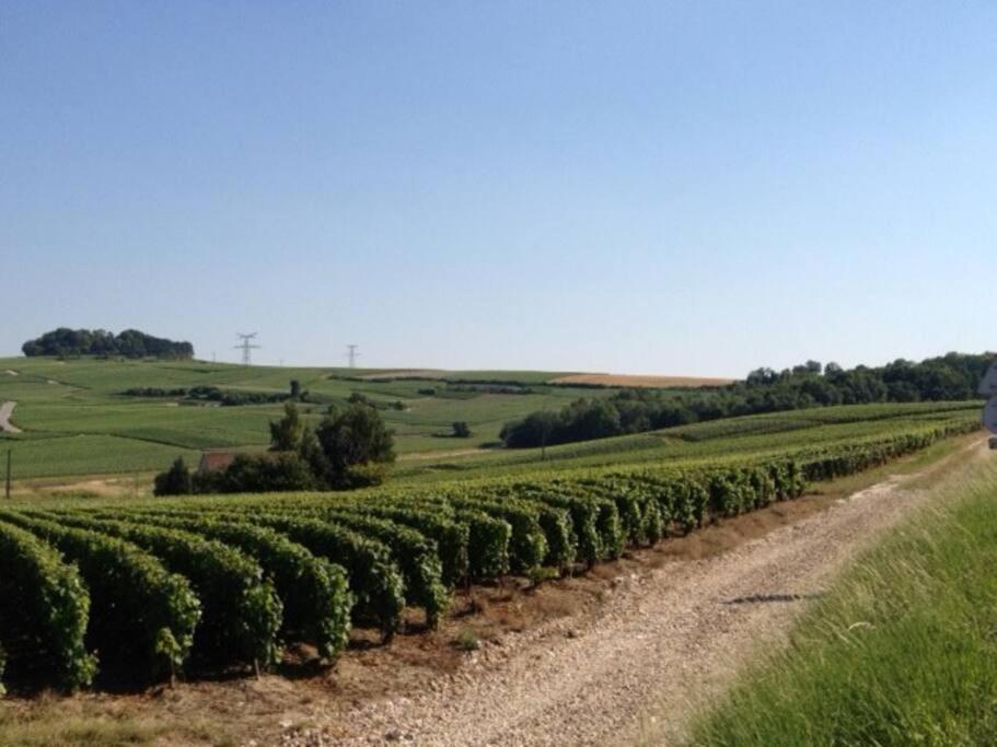 Large Country House in the heart of Champagne photo 4