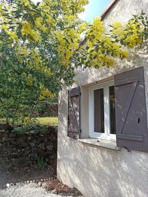 Maison au calme photo 3