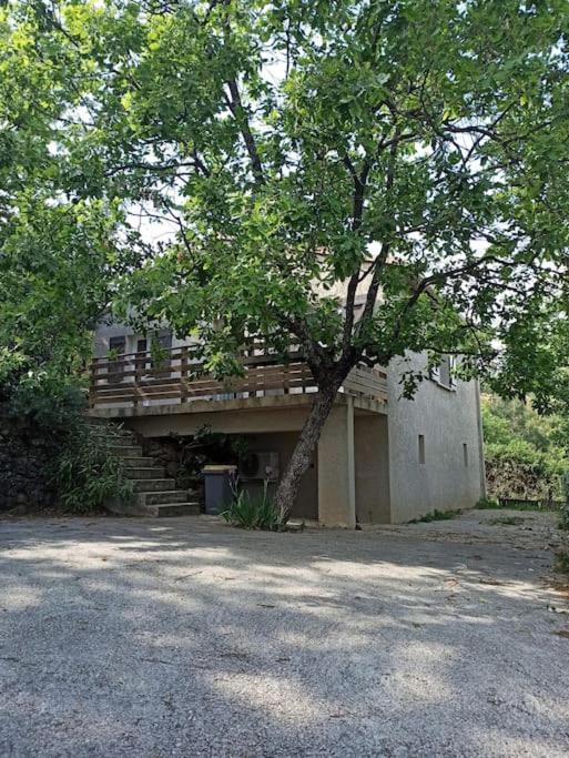 Maison au calme photo 4