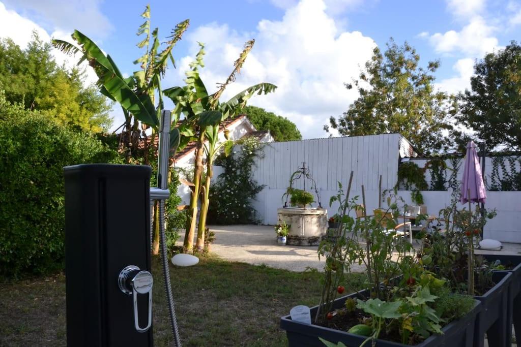 Verdure, calme et lumière au Chateau d'Oléron photo 1