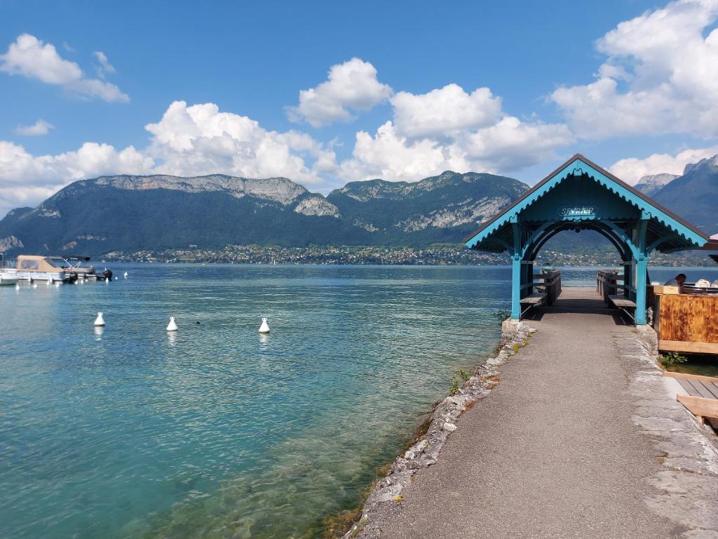 A 200 mètres du lac d'Annecy, spacieux appartement 3 chambres avec terrasse et jardin photo 1