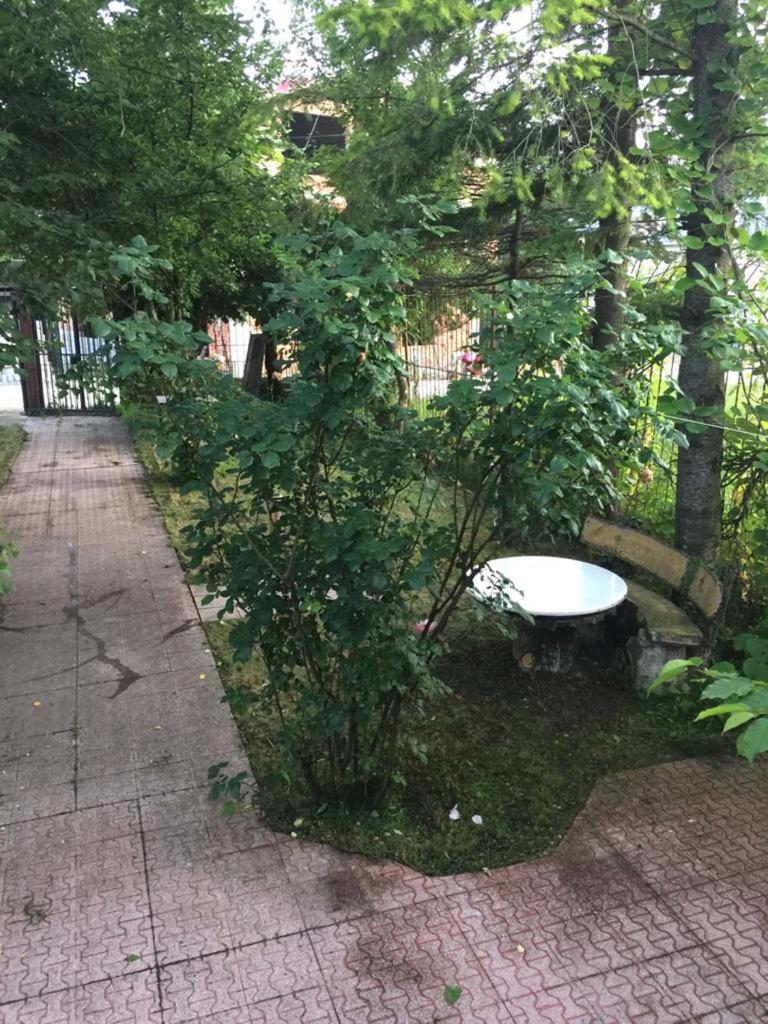 UZUNALİ DAĞ EVİ photo 1