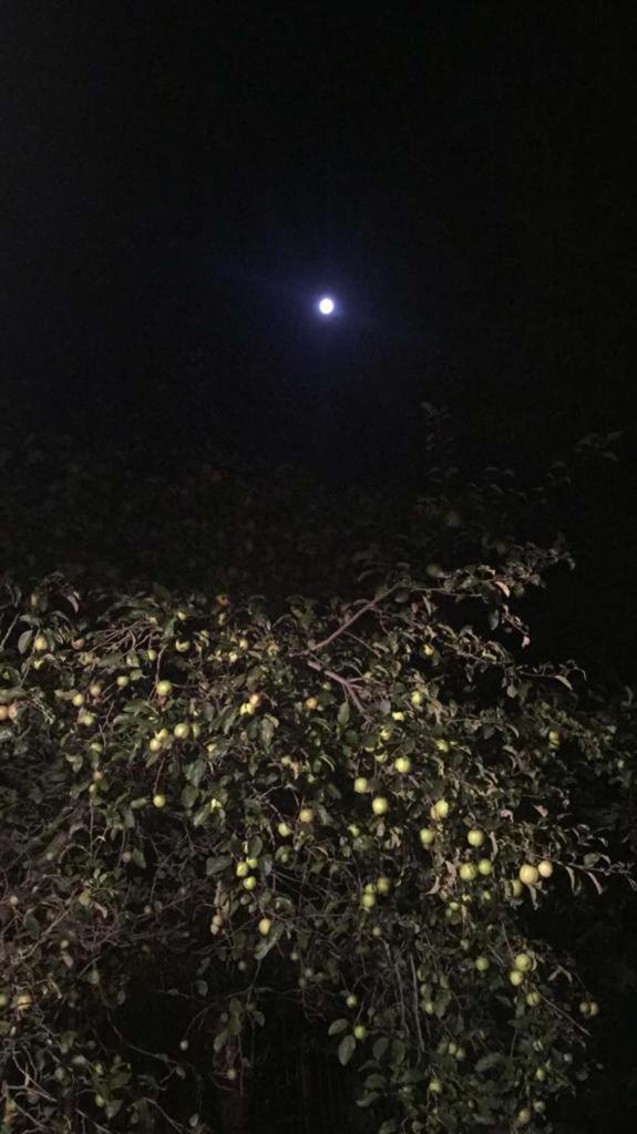 UZUNALİ DAĞ EVİ photo 4