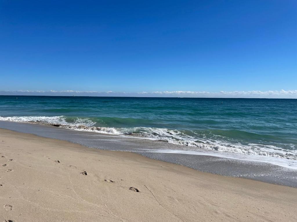 Seaside serenity studio