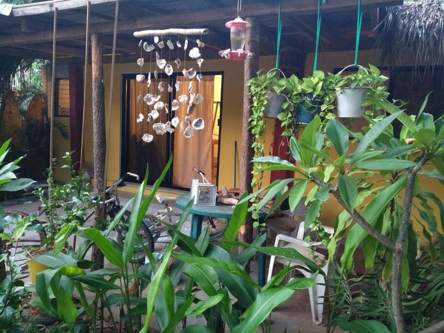 Bungalow La Media Luna Brisas de Zicatela photo 2