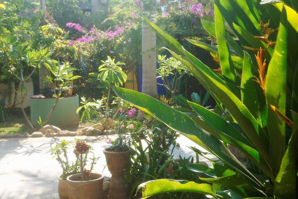 Bungalow La Media Luna Brisas de Zicatela photo 4