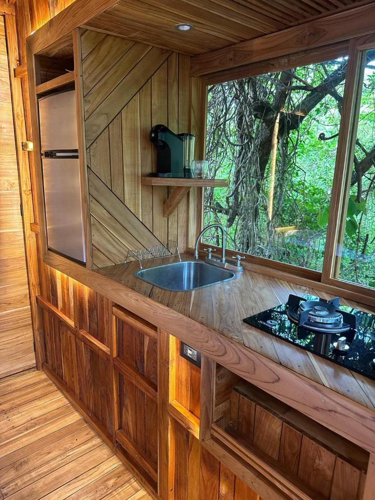 Tamarindo Pura Selva Eco Tree House photo 4