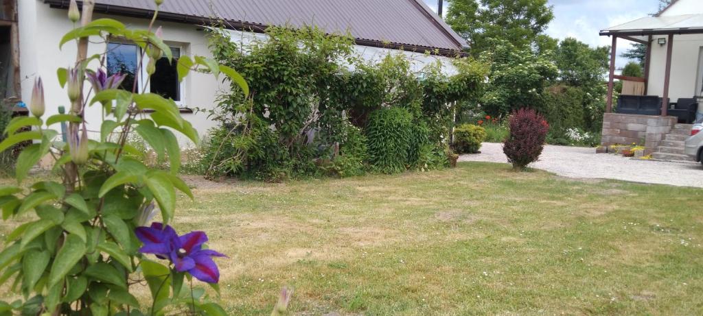 Domek w Ćmińsku photo 2