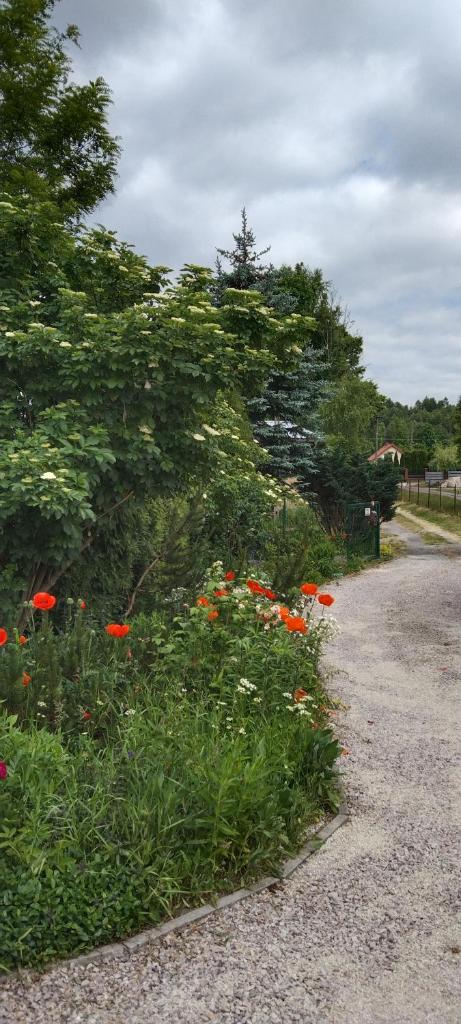 Domek w Ćmińsku photo 1