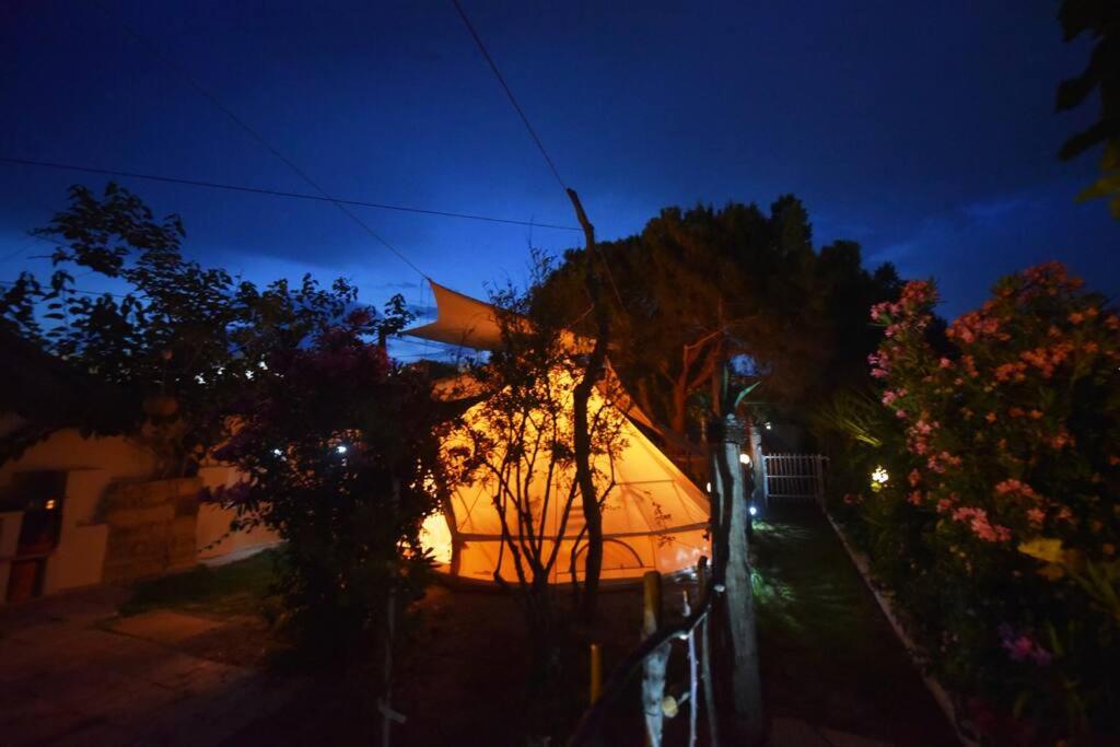 Happy Glamping 2 photo 1