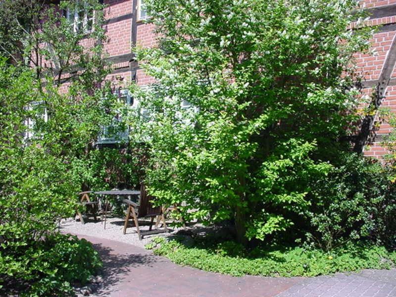 Ferienwohnungen Ehlers-Bastelstudio photo 1